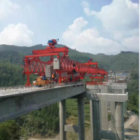 ?？悼h路橋工程架橋機(jī)起重機(jī)行吊天車大全
