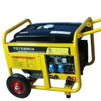 250A汽油發(fā)電電焊機(jī)TOTO250A