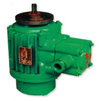 哈爾濱起升電機(jī)廠家供應(yīng)