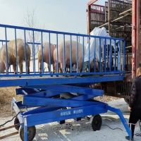 河南升降平臺(tái)廠家、轉(zhuǎn)豬臺(tái)、升降平臺(tái)銷售